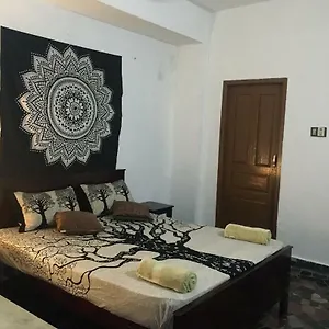 ゲストハウス Zen House インド